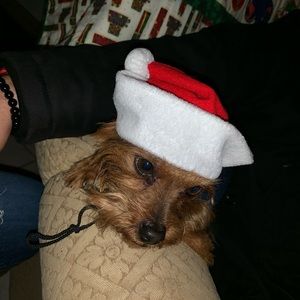 Meet your Posher, Nancy